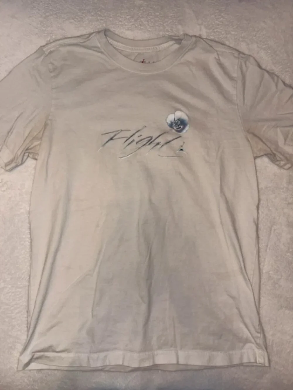 Nike Jordan Metallic Spring Graphic Short Sleeve T-Shirt